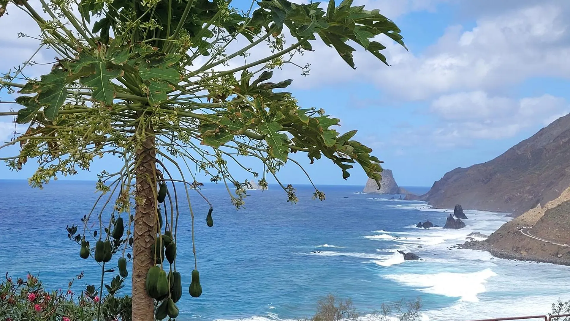 Casa Manolo Paraiso Beach Relax-Trail-Surf-Photo Almaciga Espagne
