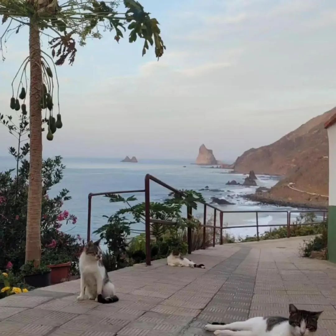 Casa Manolo Paraiso Beach Relax-Trail-Surf-Photo Almaciga